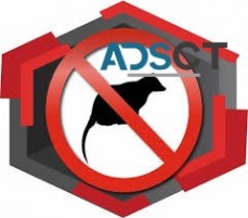 Possum Removal Adelaide