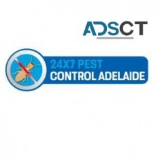 Possum Removal Adelaide