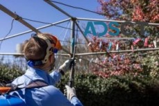 Spider Control Hobart