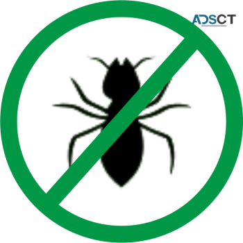 Termite Control Hobart