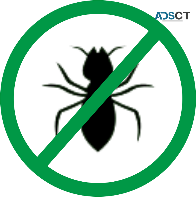 Termite Control Hobart