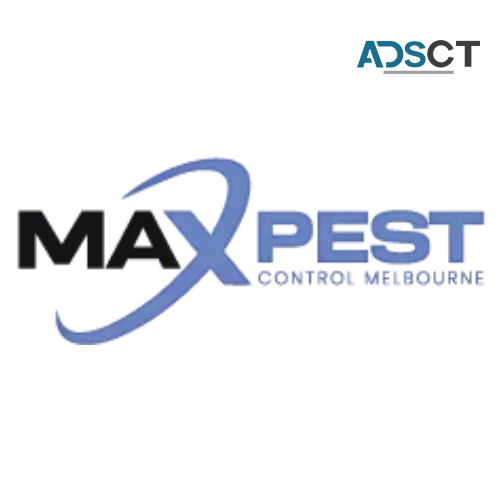 Pest Inspection Frankston