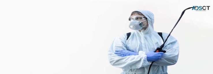 Possum Removal Specialist Adelaide