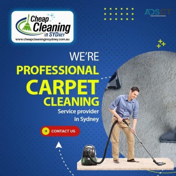 Want to hire a professional carpet cleaner in Sydney?