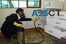 Rodent Treatment Canberra