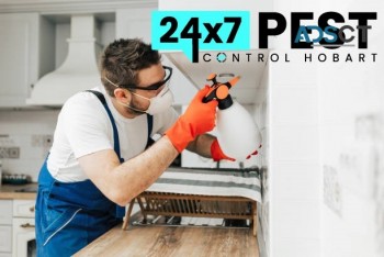 Termite Control Hobart