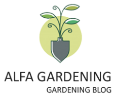 Alfa Gardening