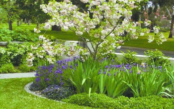 Garden Planner's Landscaping