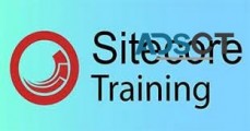 Sitecore Training | Certification Course