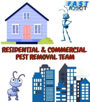 Ant Control Adelaide