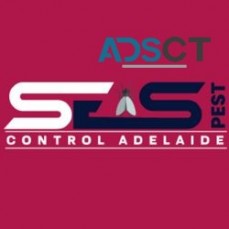 Ant Control Adelaide