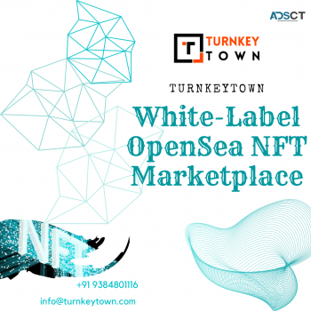 Enter into the NFT Business with opensea