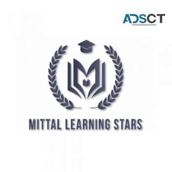 Mittal Learning Stars - Online Maths Tutor
