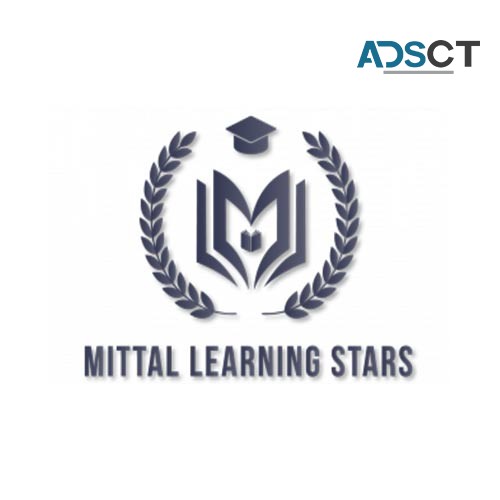 Mittal Learning Stars - Online Maths Tutor