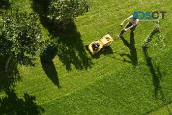 Garden Maintenance Service Melbourne | GardenMore