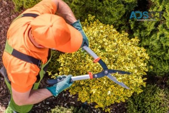 Garden Maintenance Service Melbourne | GardenMore
