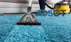 Best Carpet Cleaning Brisbane
