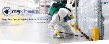 Flies Control Brisbane