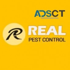 Real Pest Control Adelaide