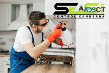 Bed Bug Control Canberra