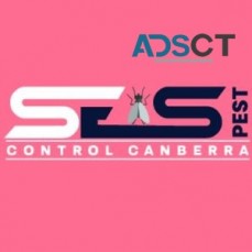 Bed Bug Control Canberra
