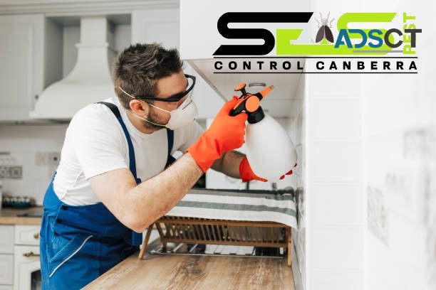Bed Bug Control Canberra