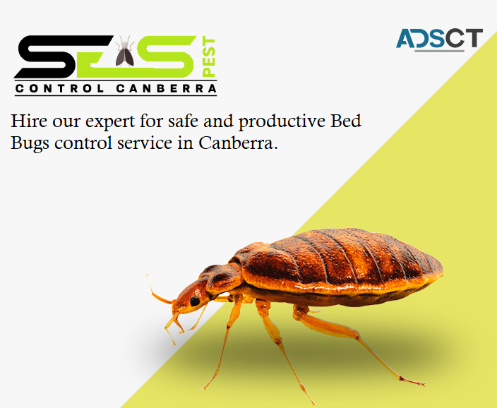 Bed Bug Control Canberra