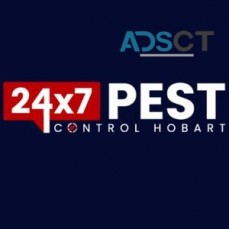 Fleas Pest Control Hobart