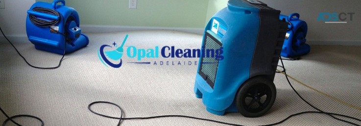 Flood Damage Restoration Adelaide