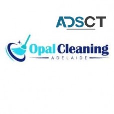 Tile and Grout Cleaning Adelaide