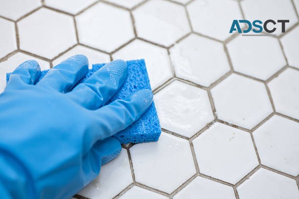 Tile and Grout Cleaning Adelaide