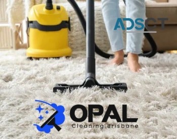 Rug Cleaning Brisbane