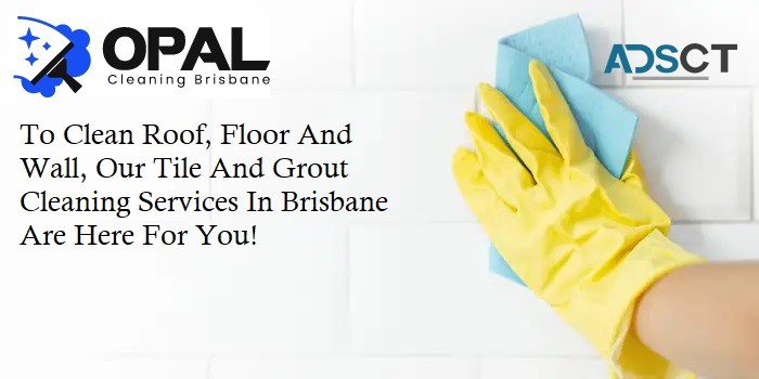 Tile And Grout Cleaning Brisbane