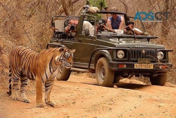 Ranthambore National Park Safari Booking 