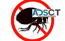 Flea Removal Melbourne