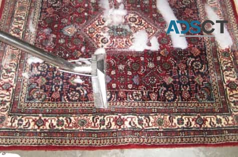 Carpet Cleaning North Sydney