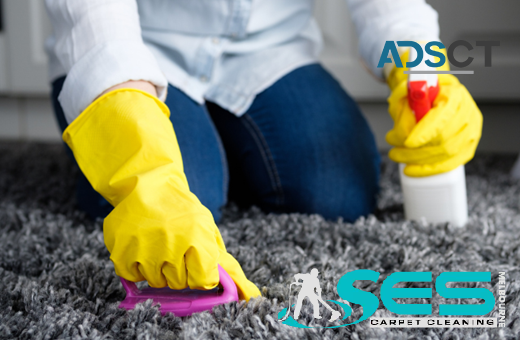 Carpet Cleaning Werribee