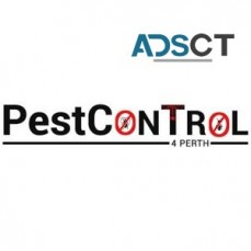 Beetle Control Perth