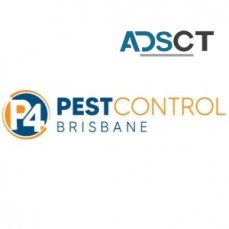 Termite Control Brisbane