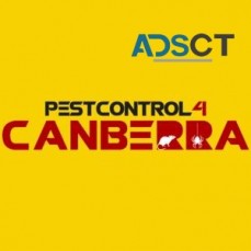 Termite Inspections Canberra
