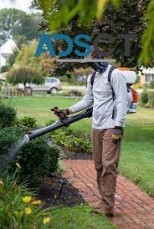 Mosquito Control Sydney