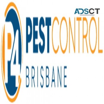 Bee Removal Brisbane