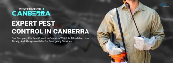 Silverfish Control Canberra