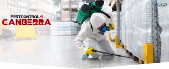 Silverfish Control Canberra