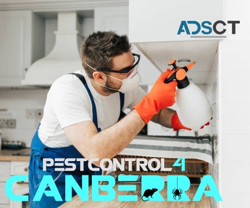 Silverfish Control Canberra