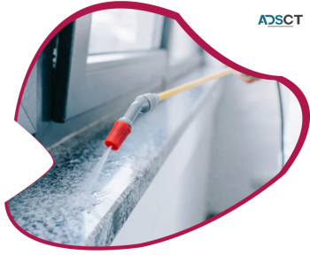 Rodent Control Brisbane