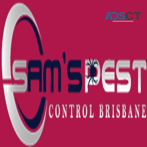 Rodent Control Brisbane