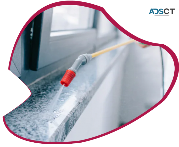 Rodent Control Brisbane