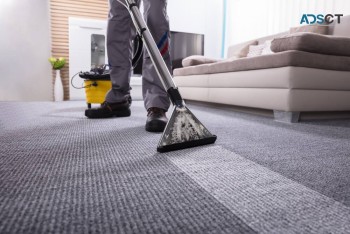 Carpet Steam Cleaning Adelaide