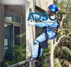 Bird Pest Control Melbourne